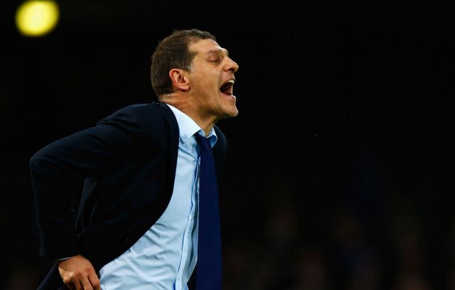 bilic