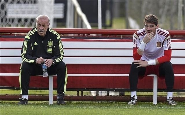 del bosque casillas