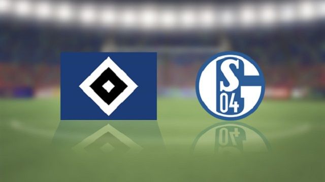 Hamburg v Schalke